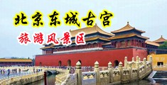 黑人和日本人抠逼黄色网站中国北京-东城古宫旅游风景区
